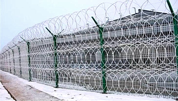 Jiletli Teller